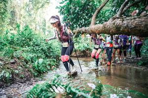 BIB: 
                            <button type="button" onclick="openModal(25516969)" class="btn btn-primary btn-sm float-right btn-popup" data-toggle="modal" data-target=".modal-high-quality">
                        <i class="fas fa-shopping-cart"></i> Add to Cart
                    </button>
                                            <button type="button" onclick="isThisMe(25516969, true)" class="btn btn-success btn-sm float-right btn-popup btn-isme hidden" data-toggle="tooltip" data-placement="bottom" title="นี่คือรูปของคุณใช่ไหม คลิกที่นี่เพื่อเอาเข้าอัลบั้ม">
                        <i class="fas fa-plus"></i> Add to album
                    </button>
                    <button type="button" onclick="isThisMe(25516969, false)" class="btn btn-warning btn-sm float-right btn-popup btn-isnotme hidden">
                        <i class="fas fa-ban"></i> Remove from album
                    </button>